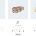 Availability Scheduler For WooCommerce - 10