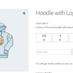 Availability Scheduler For WooCommerce - 13