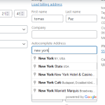 Google Address Autocomplete For WooCommerce - 5